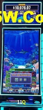 Live Casino 11Q